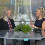 Why some musicals don't find success on the big screen